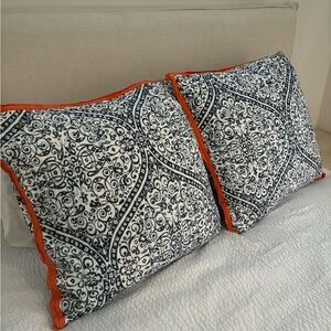Pottery Barn Euro shams (2)